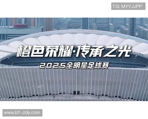 足球巨星的魅力与奋斗历程分享让我们一起感受他们的激情与荣耀